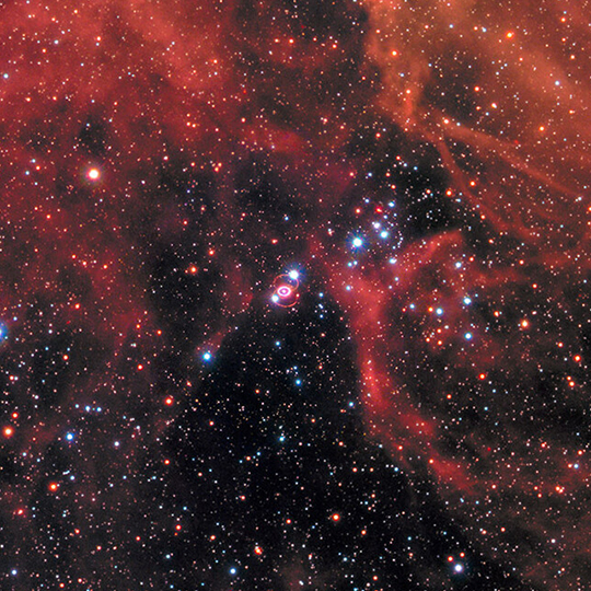 Rodrigo Cordova Rosado
