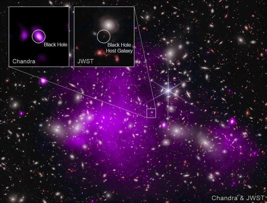 Astronomers found the most distant black hole ever detected in X-rays (in a galaxy dubbed UHZ1) using the Chandra and Webb telescopes. X-ray emission is a telltale signature of a growing supermassive black hole. This result may explain how some of the first supermassive black holes in the universe formed. This composite image shows the galaxy cluster Abell 2744 that UHZ1 is located behind, in X-rays from Chandra (purple) and infrared data from Webb (red, green, blue).