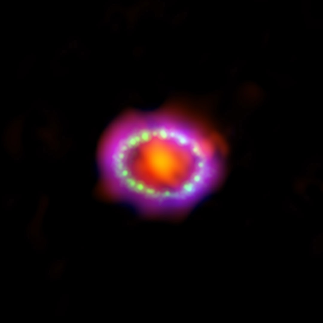 Astronomers combined observations from three different observatories to produce this colorful, multiwavelength image of the intricate remains of Supernova 1987A. The red color shows newly formed dust in the center of the supernova remnant, taken at submillimeter wavelengths by the Atacama Large Millimeter/submillimeter Array (ALMA) telescope in Chile. The green and blue hues reveal where the expanding shock wave from the exploded star is colliding with a ring of material around the supernova. The green represents the glow of visible light, captured by NASA's Hubble Space Telescope. The blue color reveals the hottest gas and is based on data from NASA's Chandra X-ray Observatory. The ring was initially made to glow by the flash of light from the original explosion. Over subsequent years the ring material has brightened considerably as the explosion's shock wave slams in it. Supernova 1987A resides 163,000 light-years away in the Large Magellanic Cloud, where a firestorm of star birth is taking place.