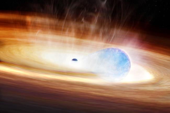 The explosive interaction between a black hole and a nearby massive star