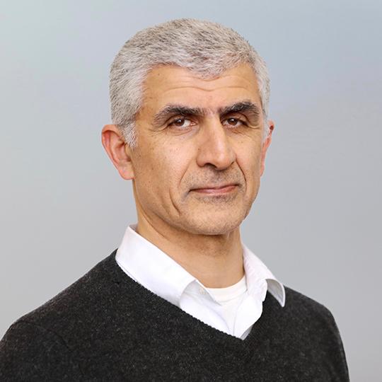 Hossein Sadeghpour